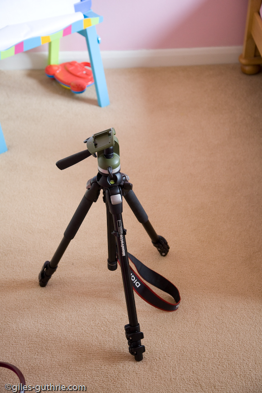 IMAGE: http://giles-guthrie.com/i/misc/lightroom-export/5d-4795.jpg